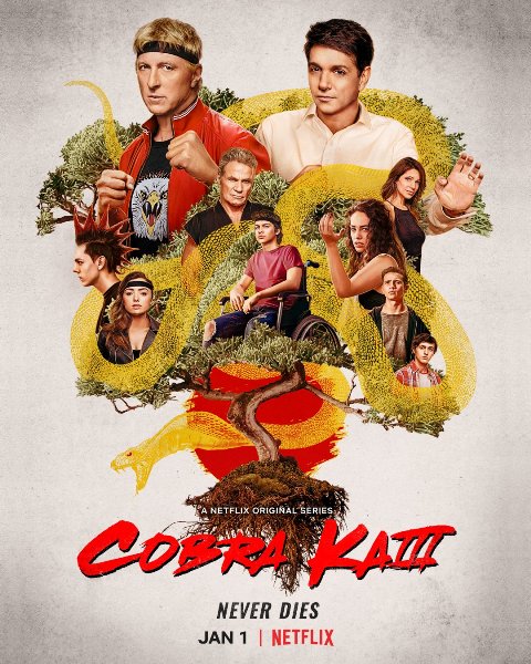 Cobra kai season 4