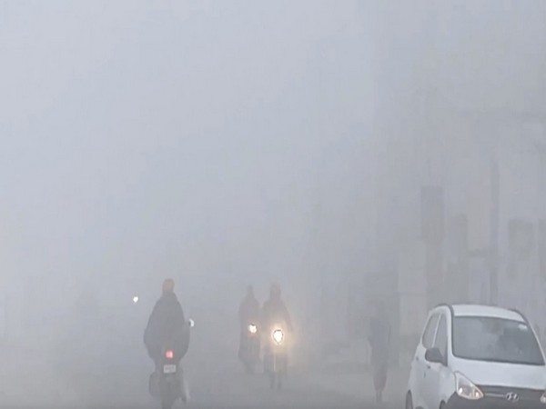 Fog blankets Bathinda as temperature drops, commuters face visibility challenges