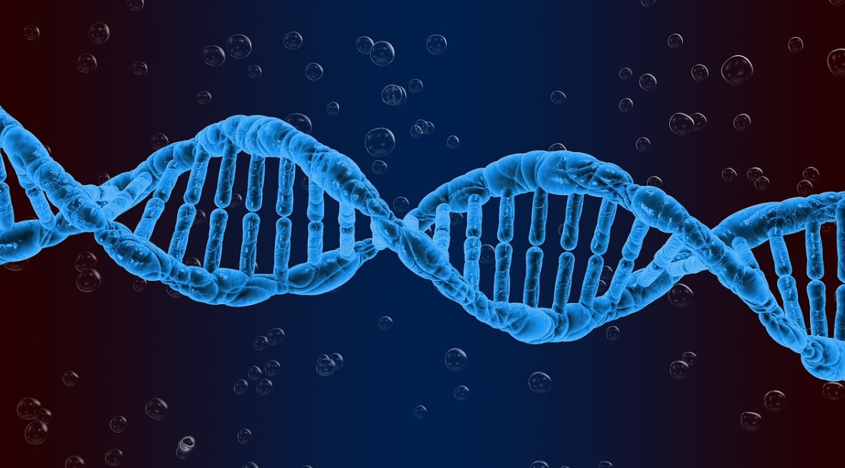 Gene editing trials on humans kickstart in U.S. 
