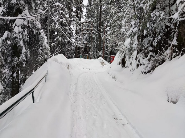 Himachal Pradesh: 380 roads closed after fresh snowfall, marginal increase in tourist footfall in Shimla