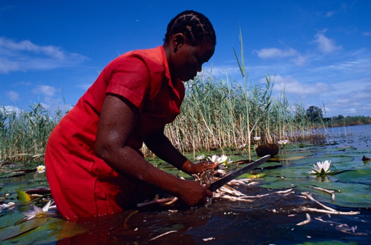 Youth climate activists urge Namibian President to save Okavango Delta