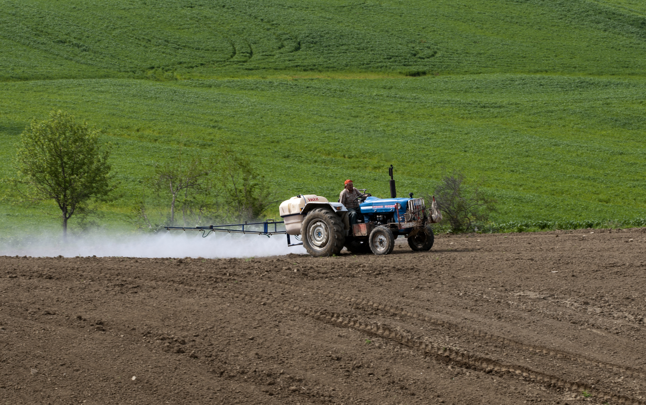 US-Trump admin's EPA allows use of controversial pesticide