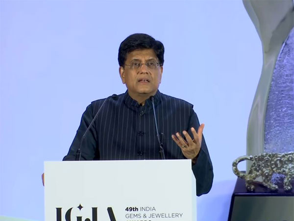 Last nine years have been defining period for our sisters: Piyush Goyal