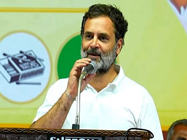 "Your vote will decide whether next government...": Rahul Gandhi to voters amid Phase 2 polling