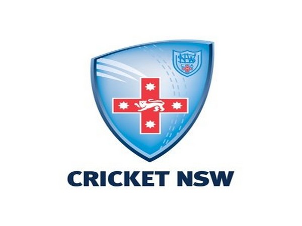 Cricket New South Wales launches online webinar for coaches