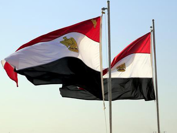 Egyptian president, UAE FM discuss ties, regional security