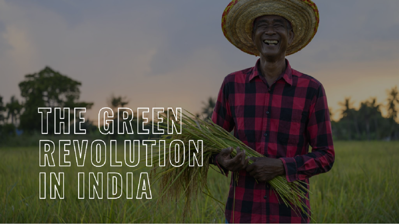 The Green Revolution: Transforming Agriculture in India