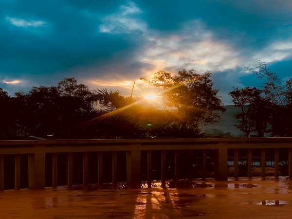 'Good morning friends': Dharmendra Deol treats fans to  mesmerising view of rising sun