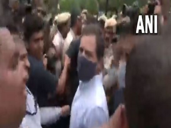 Rahul Gandhi detained during Cong protest against Sonia Gandhi's questioning