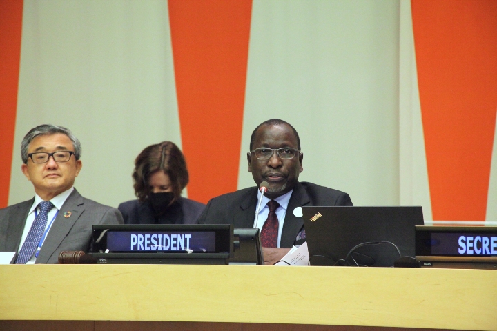 New ECOSOC President aims to ease crises which have ‘engulfed our societies’