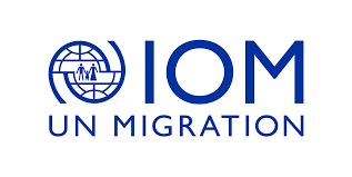 IOM says at least 43,059 people displaced by floods in Libya