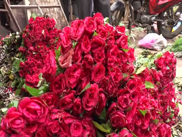 Turkish florists race to meet soaring British demand after Queen's death