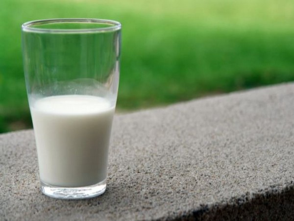 Study finds higher dairy fat intake can lower cardiovascular risk