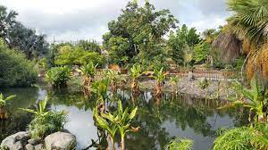 Uttarakhand develops biggest palmetum in north India