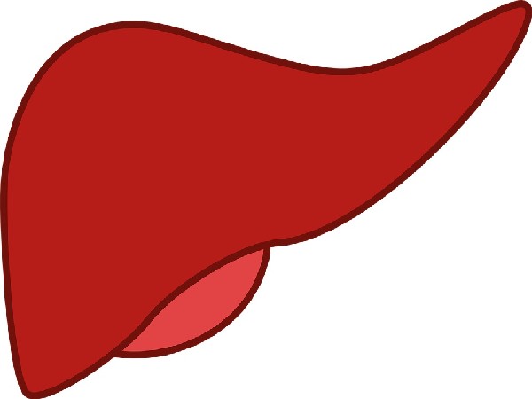 Study finds genetic, epigenetic 'origin story' of pediatric liver cancer