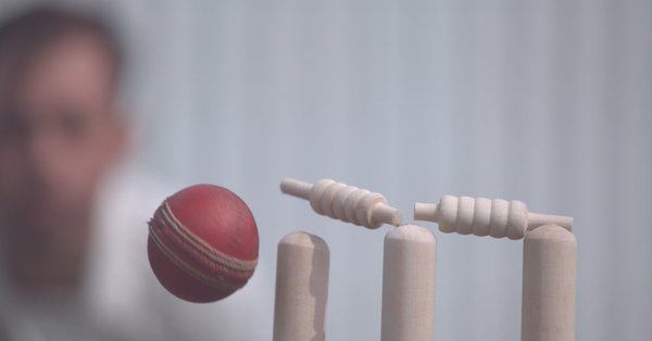 NZ's Watling defies Pakistan in third Test