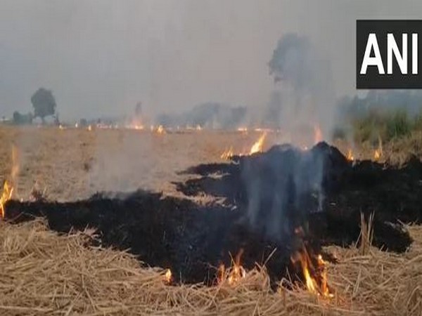 Stubble Burning Sparks Concerns Amid Supreme Court's Reproach