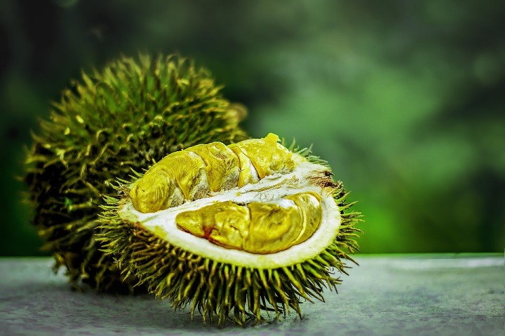 Stinky Durian set to become Malaysia's next major export on unprecedented demand from China