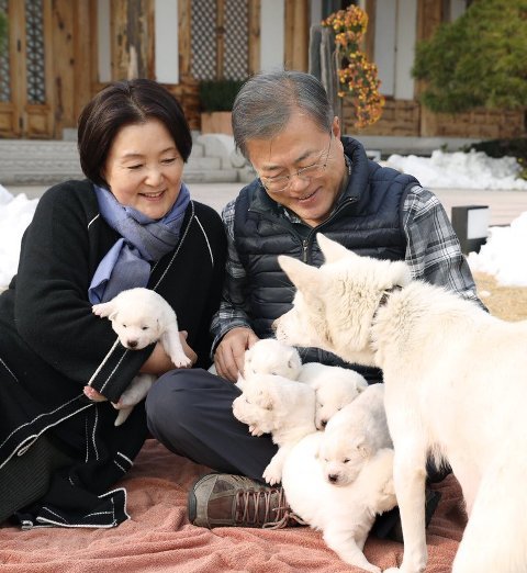 Gift from N. Korea: Prez Moon shares pictures of newborn pups of dog gifted by Kim