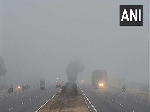 Wrapped in fog, Kerala's Munnar woos travel buffs
