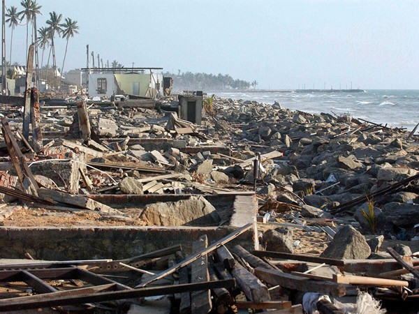 20 Years On: Honoring the Resilience and Loss of the Indian Ocean Tsunami