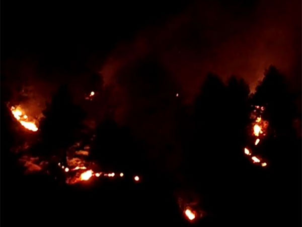 Authorities Tighten Grip as Forest Fire Rages in Doda's Bhalessa Village