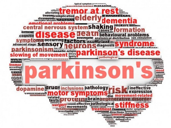 Study reveals flavonoids might reduce risk of death in Parkinson's disease patients