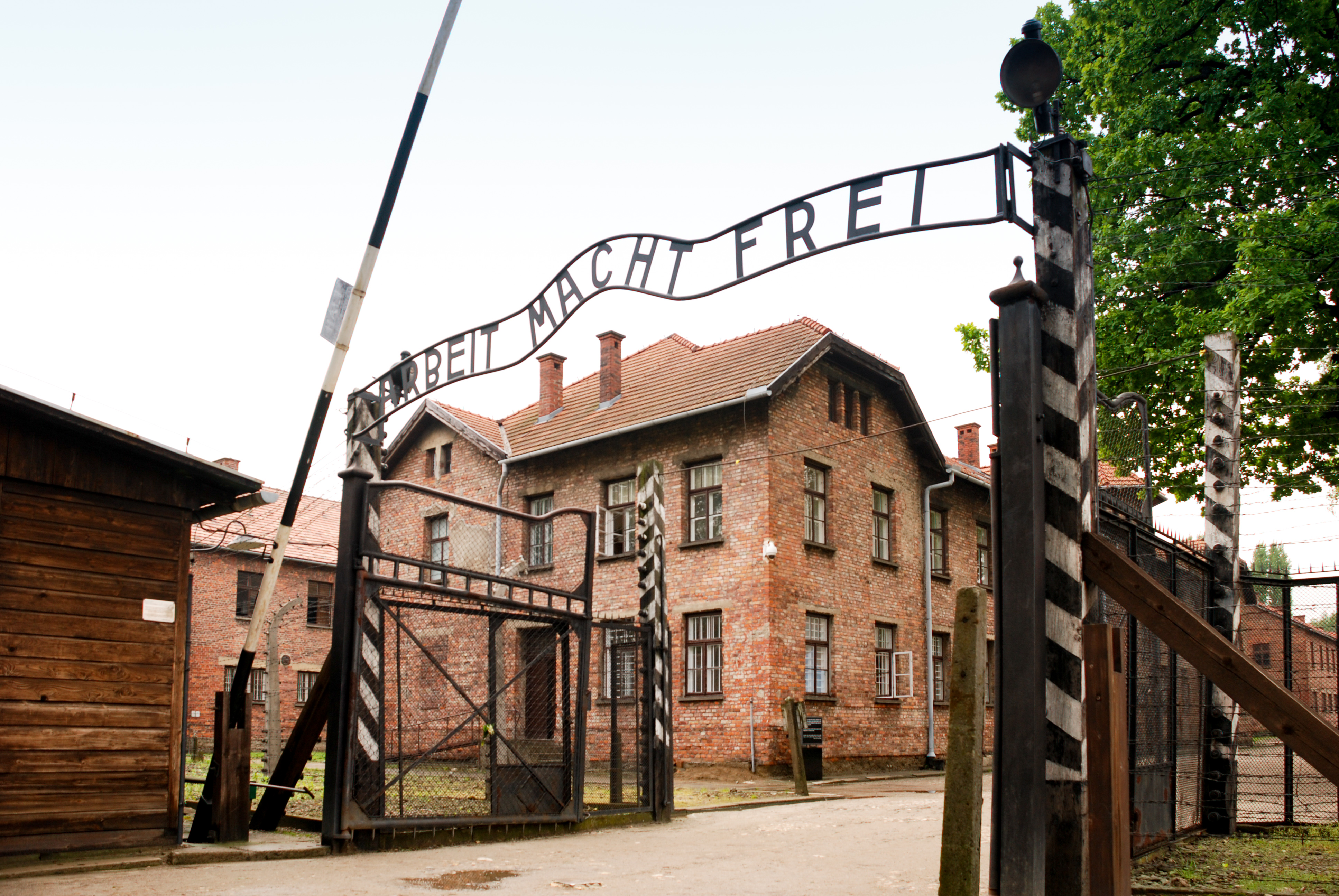Auschwitz anniversary marked as peace again shattered by war