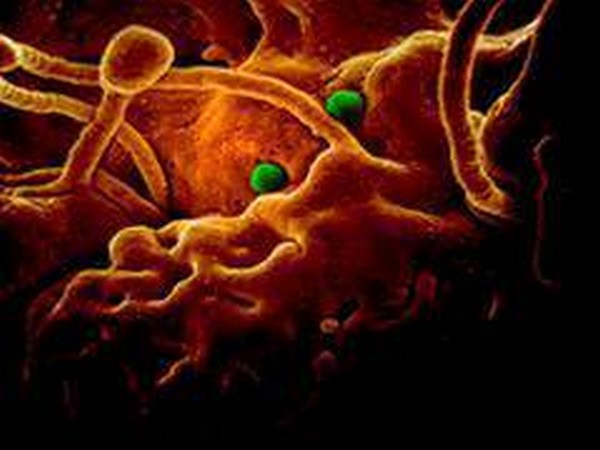 Health News Roundup: UK conducts random coronavirus testing; Greece confirms first coronavirus case and more