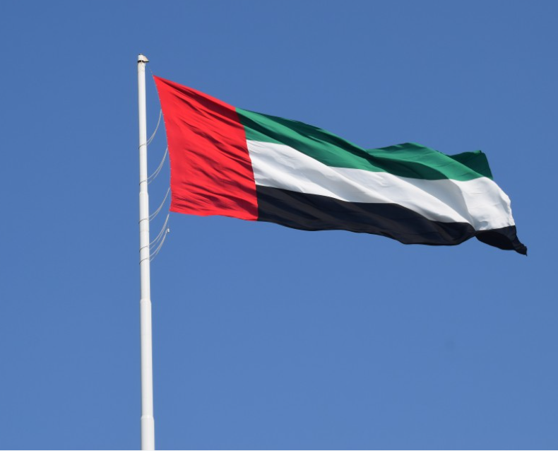UAE supports Saudi position on U.S. Khashoggi report -state news agency
