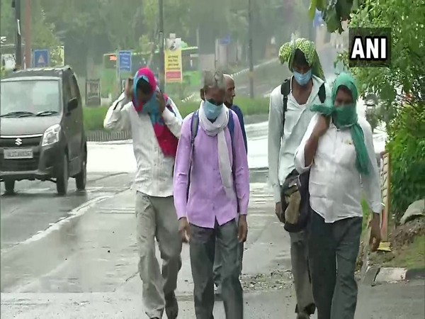 'No option but to walk home': Group of labourers set on 300km journey amid lockdown 
