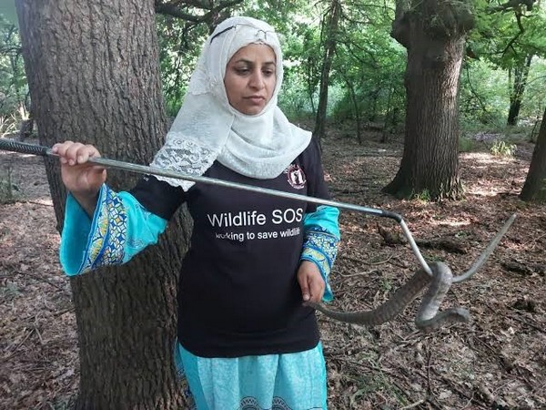 Alia Mir, first woman wildlife rescuer in J-K, honoured with Wildlife Conservation Award