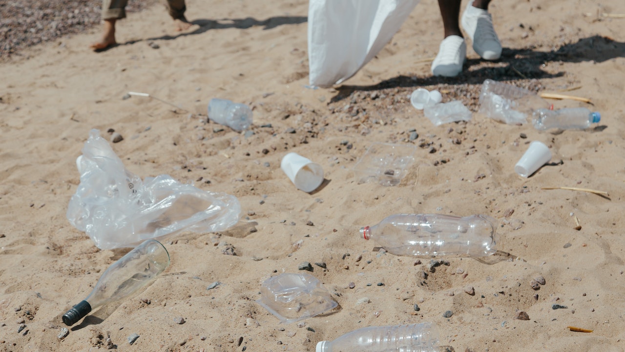 A Plastic Pandemic: The Devastating Effects of Microplastic Pollution
