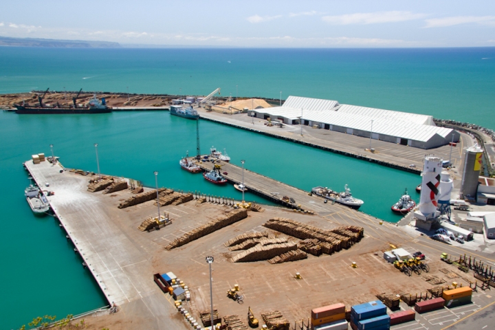 Napier Port allocates shares to NZX firms participating in Broker Firm Offer