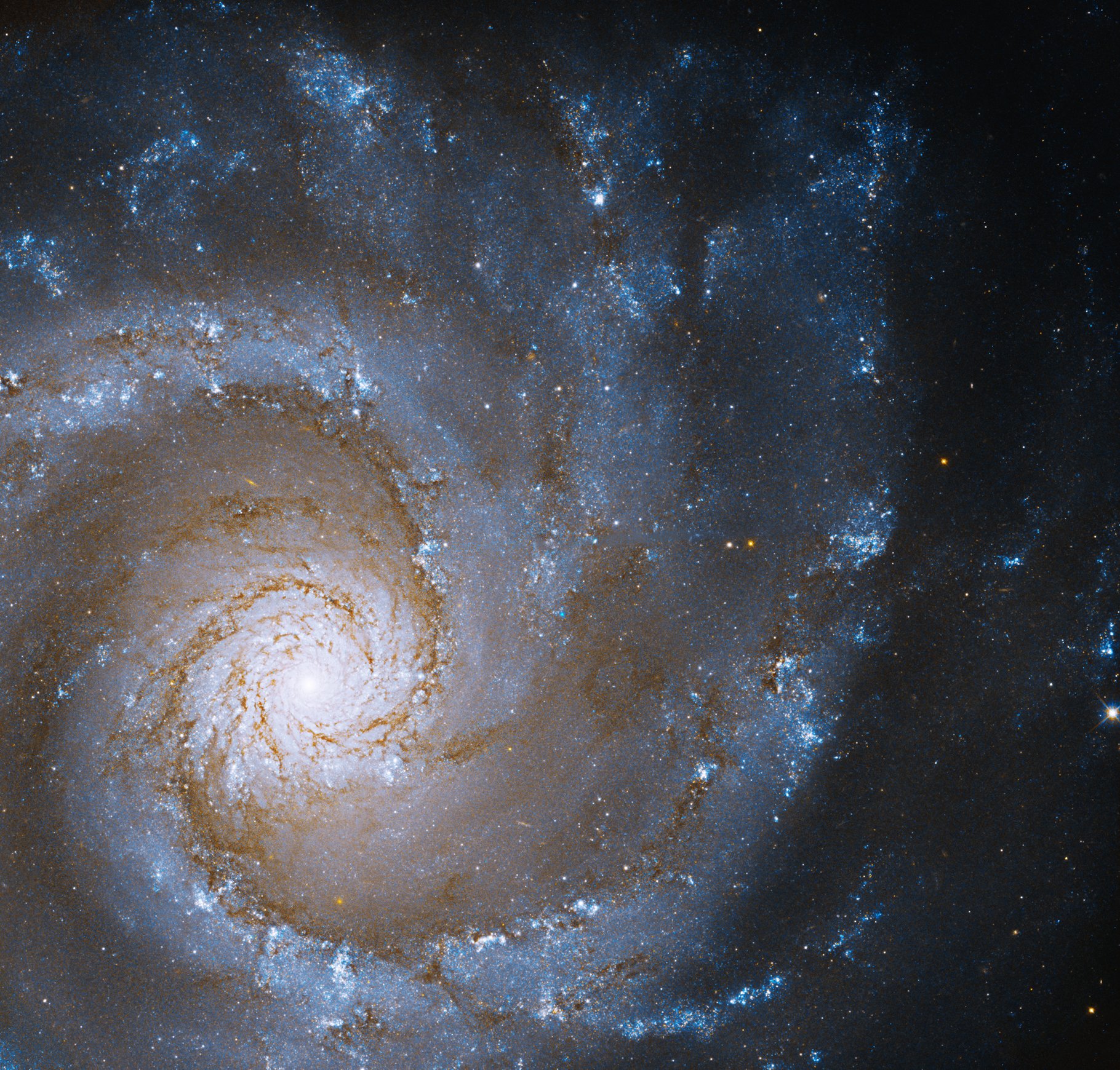 This mesmerizing picture from Hubble shows Grand Design Spiral galaxy