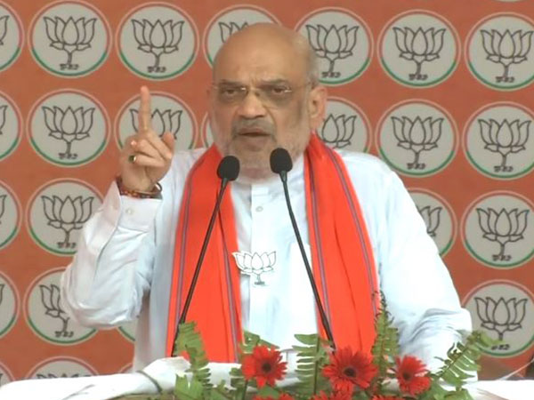 "Rahul Baba will not even cross 40 seats; Akhilesh not even 4": Amit Shah's poll prediction