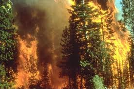 UPDATE 1-California's new normal: evacuating wildfires yet again