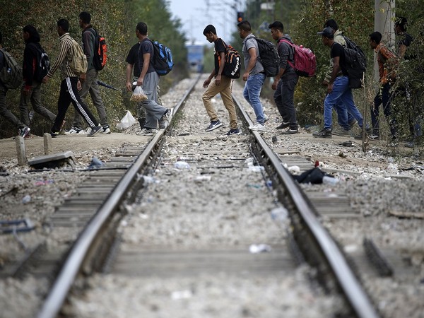 More than 50,000 migrants 'die in search of a better life'