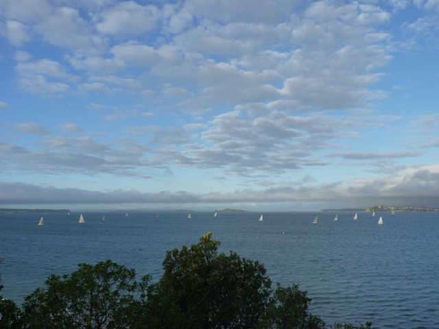 Changes being put in place to protect Hauraki Gulf 