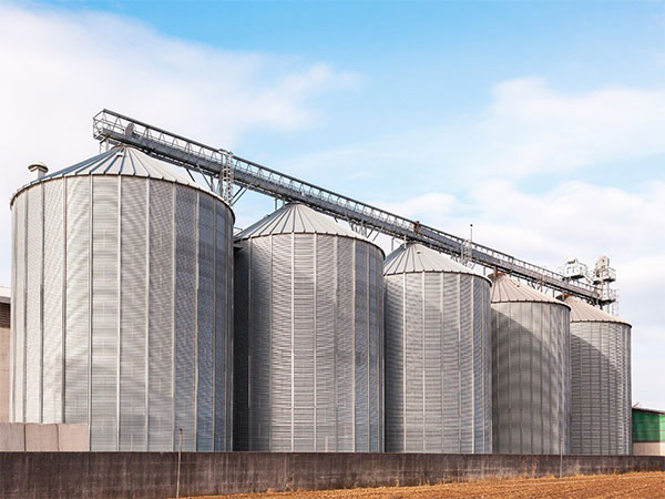 FCI Boosts Storage Capacity with Six New Silo Projects Under PPP Model