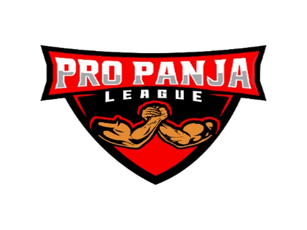 Pro Panja League Season 2 Postponed Due to Co-founder's Accident