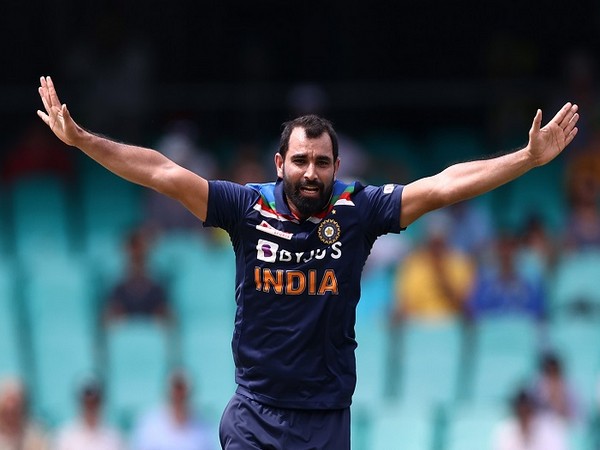 Mohammed Shami shines as India beat New Zealand by eight wickets to seal  series
