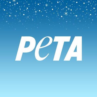 PETA honors Imran Hussain for implementing ban on Chinese 'manja'