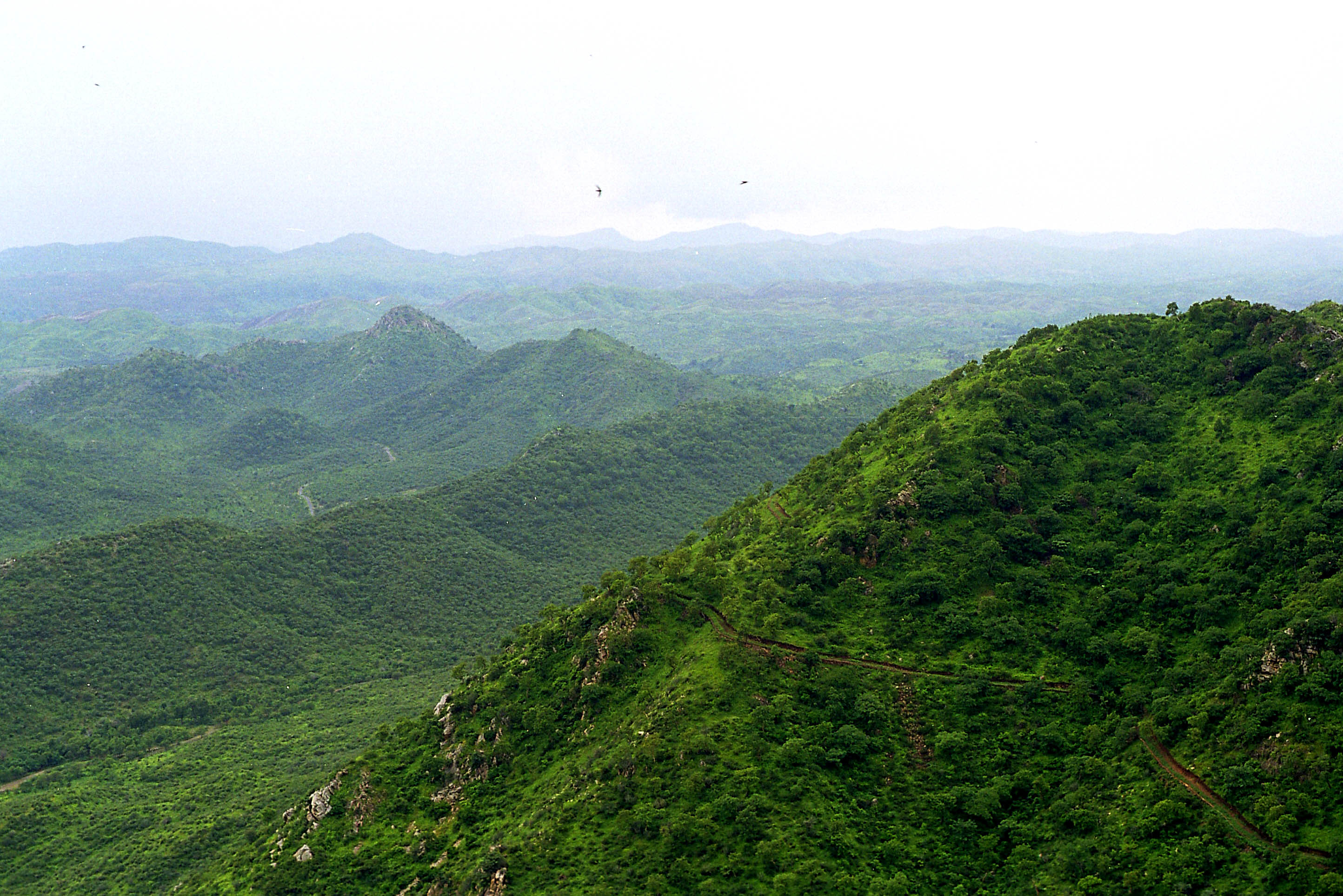 Pre-historic rock art in Aravali hills puts Rajasthan village on tourist map