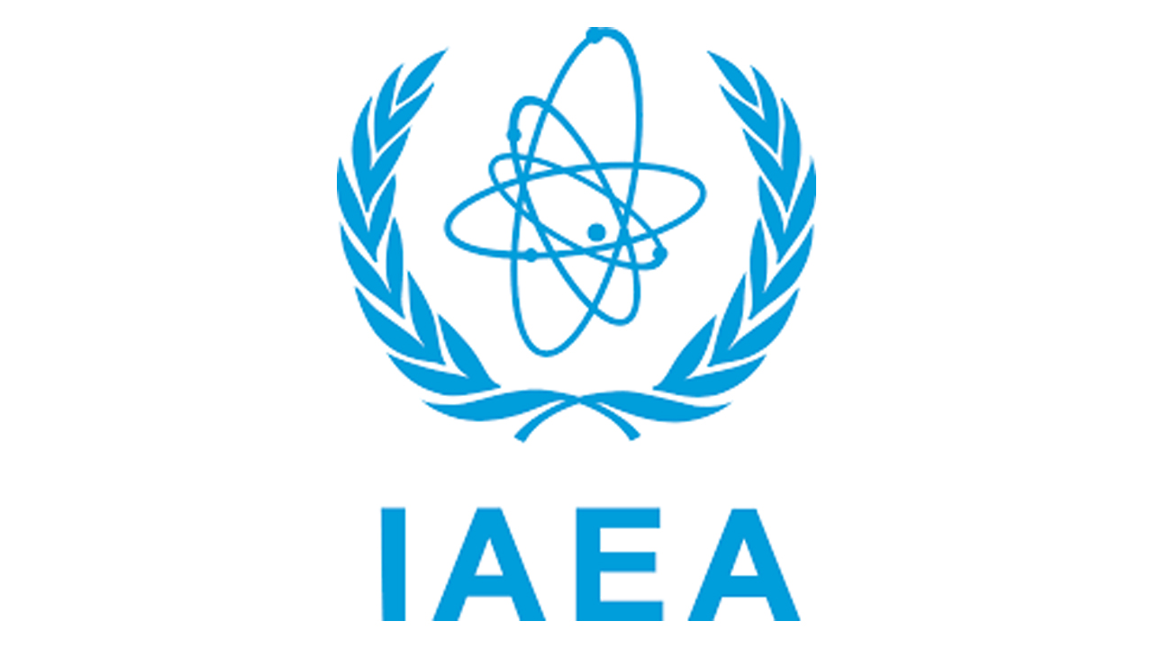 IAEA to help Iraq develop peaceful nuclear programme, agency head says 