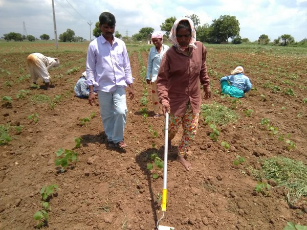 Telangana women farmers lead the way to safer agriculture