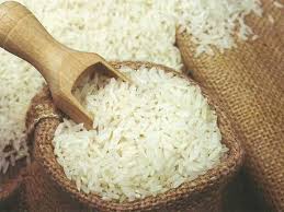 Corteva Agriscience inks pact to promote sustainable rice production in 40,000 acres UP