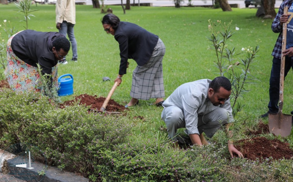 Ethiopian PM Abiy Ahmed launches environmental scheme of 4bn tree planting project