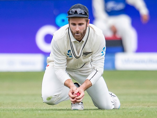 NZ skipper Williamson credits Eng for their counterattack during final Test