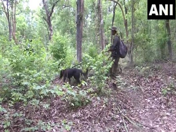 Security forces prepare to launch anti-naxal operation in Chhattisgarh's Dantewada 